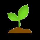 笔画为本，书法入门 ﻿——徐家井小学一年级书法4班