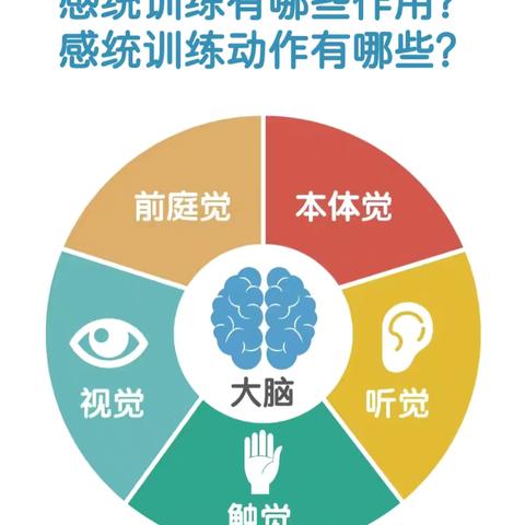 感统简介以及感统教具