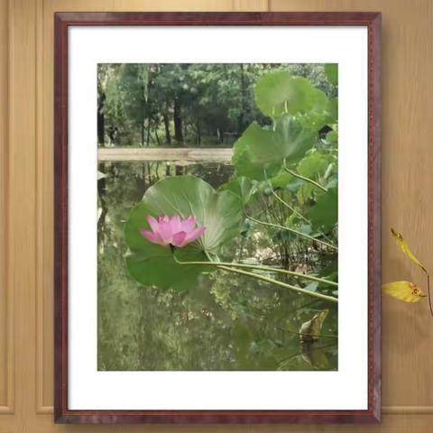 雨农手机摄影 魏雨农，北京齐白石艺术研究会 会员，中国管理科学院人才库高级品牌策划师。擅长中国水墨山水，闲暇之际用手机摄影捕捉山河与生活之美。现将不同时期的小作分享给朋友们，以此抛砖引玉，请朋友们指正