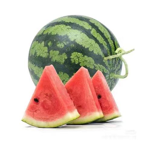 中一班阅读识字 《抱西瓜🍉》