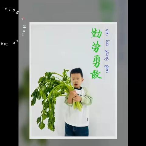 照片故事•对宝贝的爱【芹】有独钟