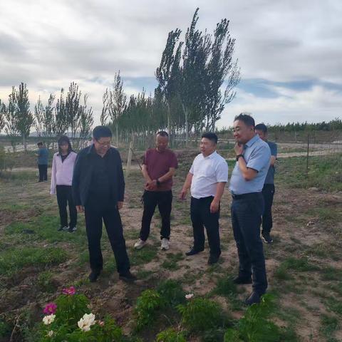 自治区政府研究室副主任程玺一行到天山镇调研林地、耕地流转延包情况