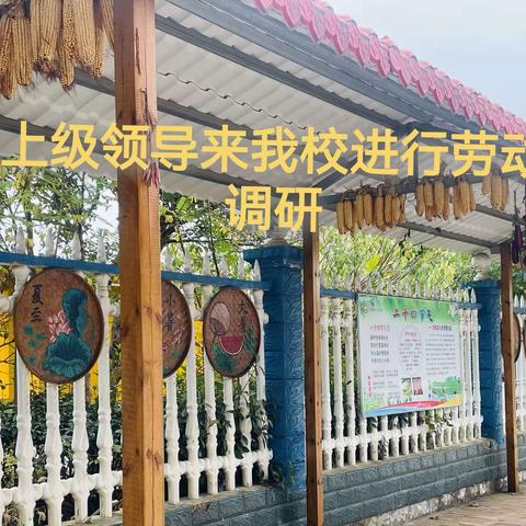 携手共进，以“劳”育人 ——天河口小学劳动教育专项调研