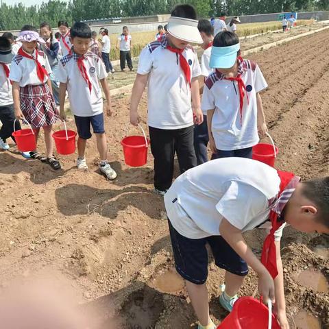 《一粒花生籽，一堂实践课》———实验小学三年级学生劳动实践基地纪实