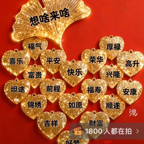梅的美篇