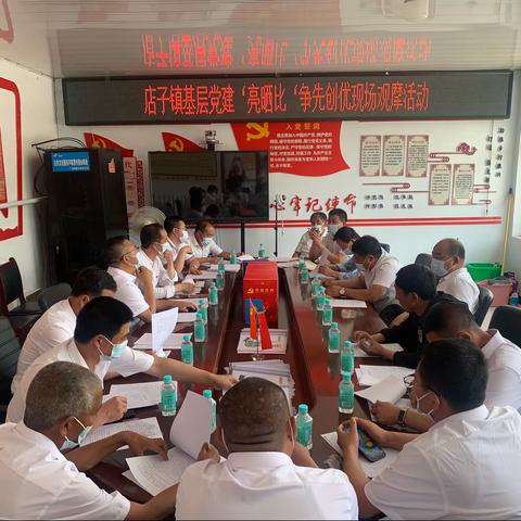 店子镇开展2022年度“逐村观摩，整乡推进”暨村党支部书记“亮晒比”活动