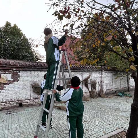 🌹劳动砺心志，实践促成长——鹿泉经济开发区学校少工委开展“摘柿子”实践活动