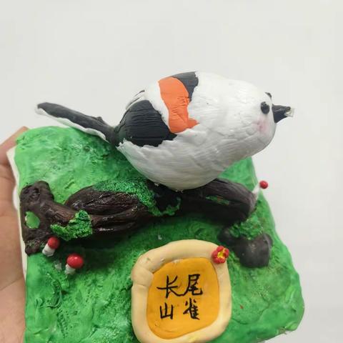 商州区九年制学校生物特色作业展评