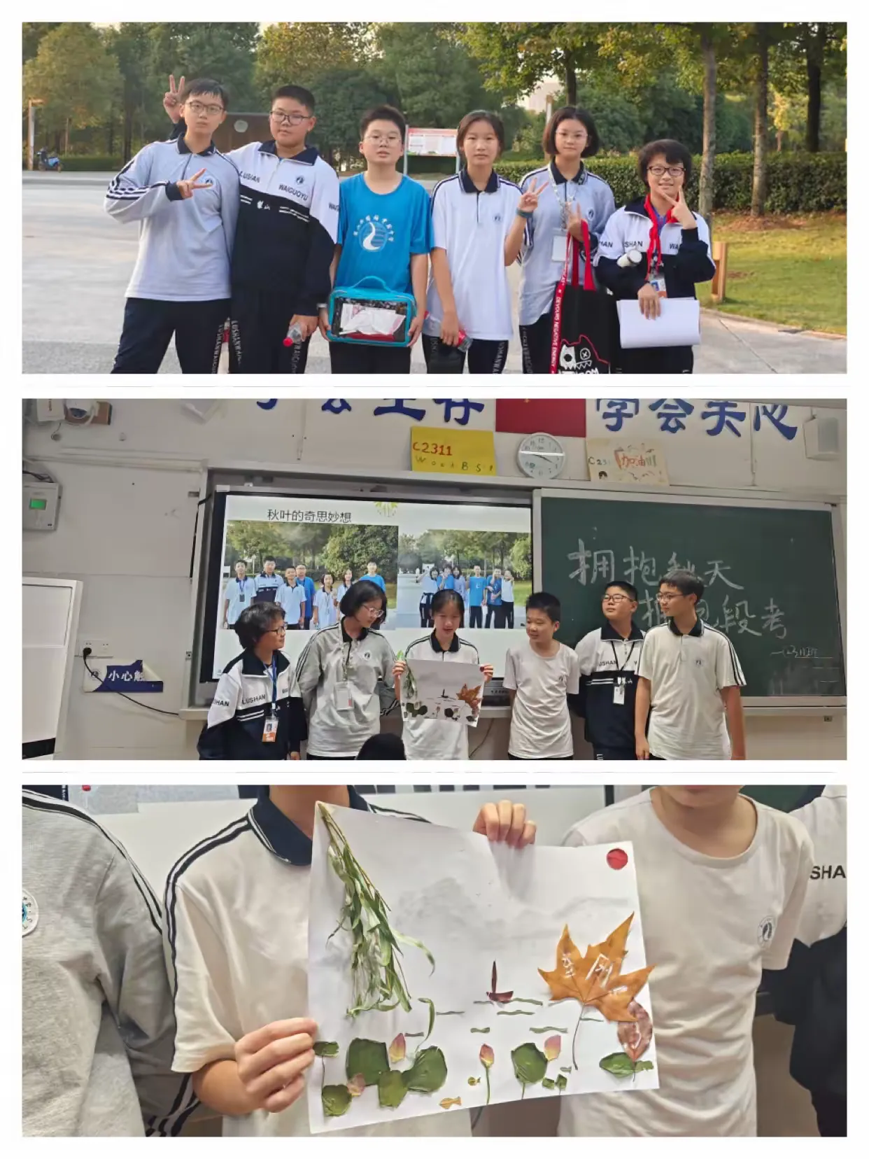 简篇-C2311班第九周周刊
