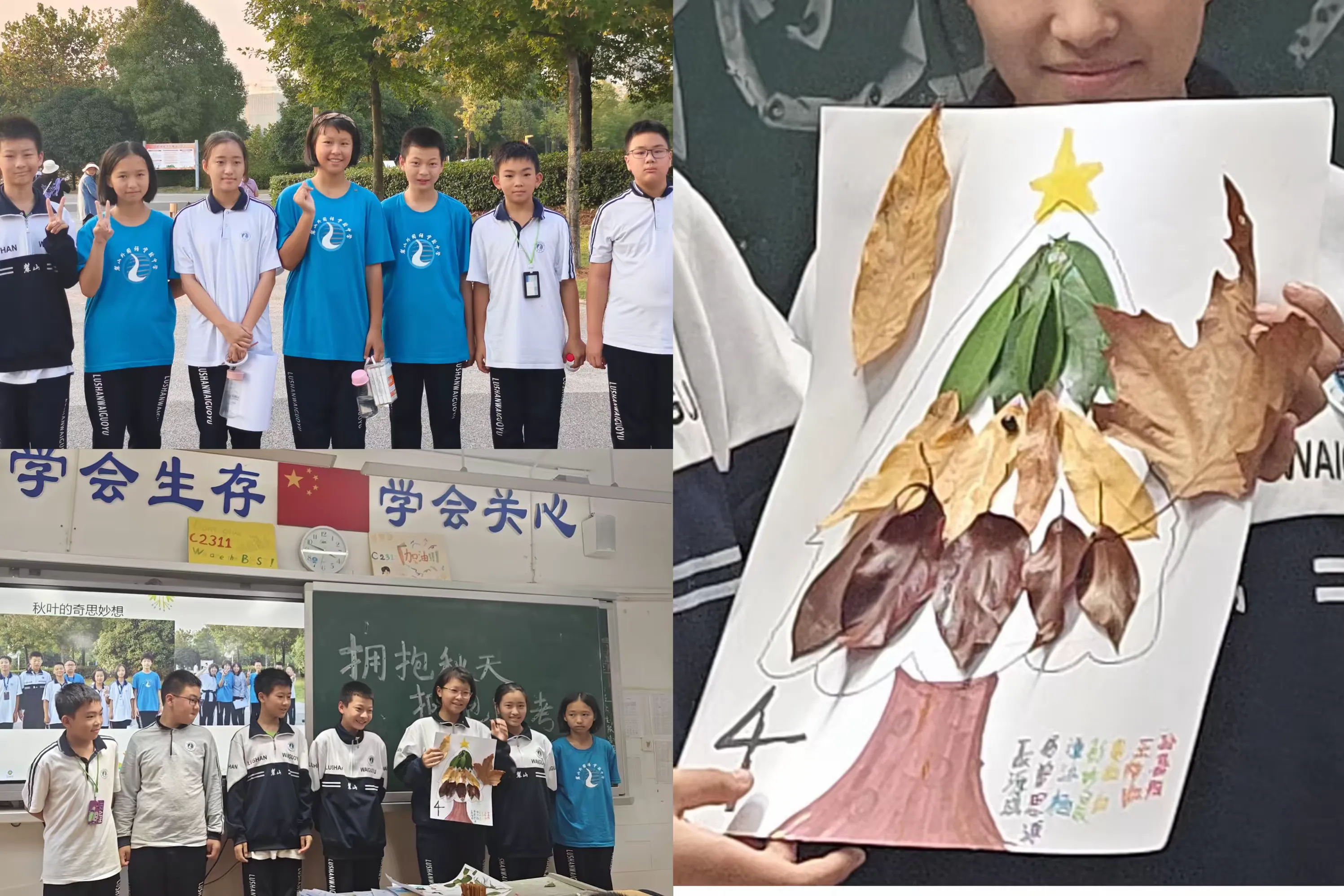 简篇-C2311班第九周周刊