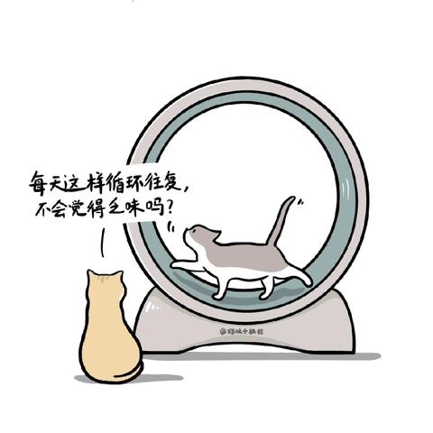 大学生健康生活指南：﻿ ﻿作息饮食与心理健康的平衡之道