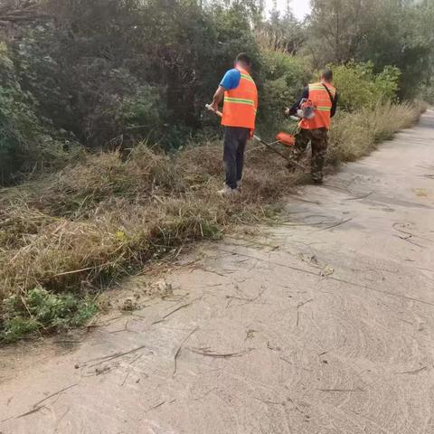 诸满二村——秋末山场杂草清理·开启冬季整治