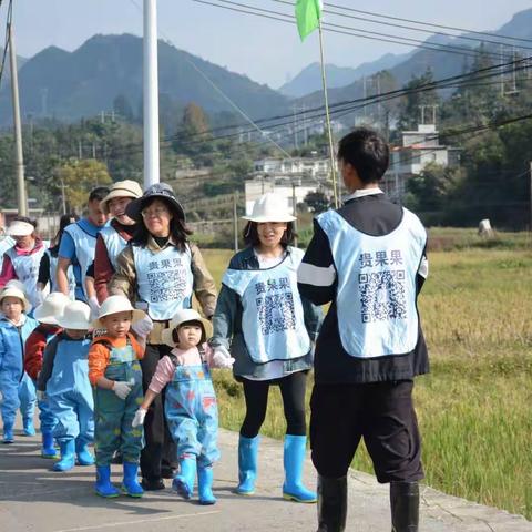 【稻谷大丰收】 六盘水市实验幼儿园小二班开展割稻谷社会劳动实践活动啦！家长必看…