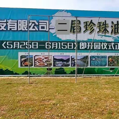青山绿水果飘香 旅居休闲好地方 ——章丘望岳山庄珍珠油杏采摘节纪实