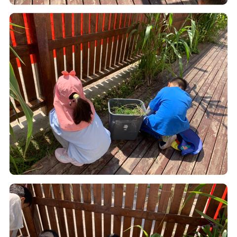 明珠班2024语文（童话）版块（一）