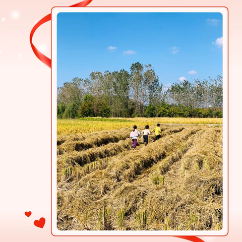 二年级数学探索活动