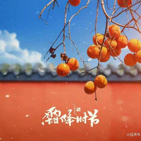 二十四节气之霜降 好“柿”发生