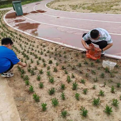 传承劳动美，奋进新时代---定州市翟城小学劳动教育活动