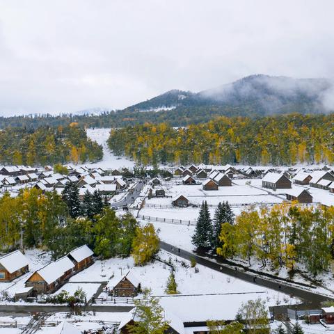 禾木秋雪