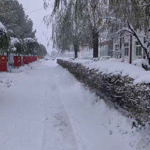 冬日暖人心扫雪我先行