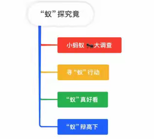 课程故事|主题名称：“蚁”探究竟
