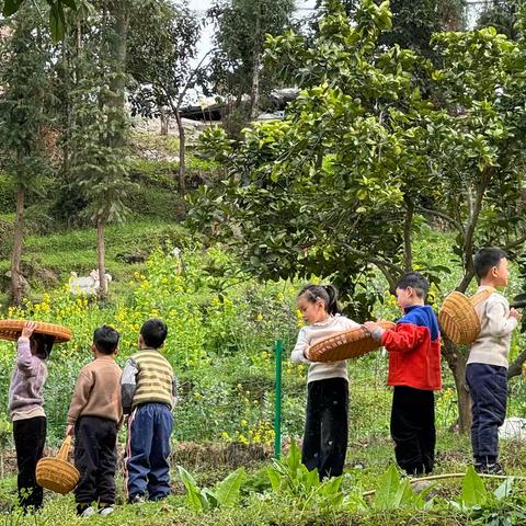 播种希望，收获成长——记大三班小朋友的种植园体验