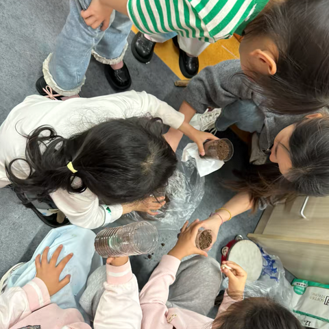 🌱大三班的蒜苗成长日记 ‍小小观察家，探索生命奥秘🌱