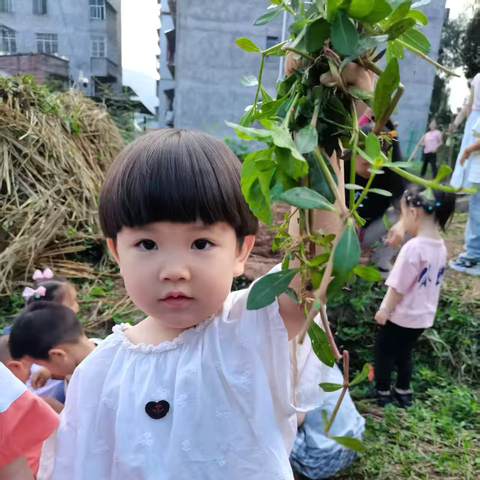 播种希望，共育成长