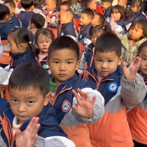 萌萌马拉松开跑啦