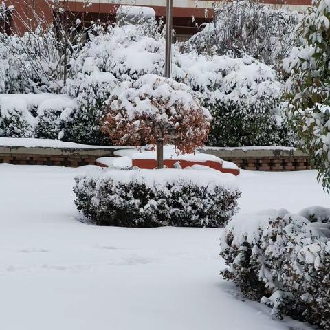 大雪满校园   扫雪暖人心—茅芦店小学双减美篇