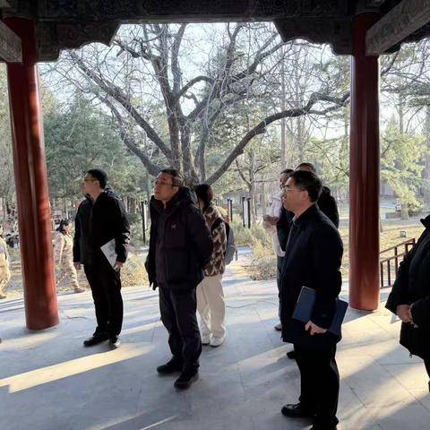 四季焕新，扮靓家园｜科技赋能千年古迹，创新守护文明根脉——杨军昌书记调研遗光寺社区景泰陵文物保护工作