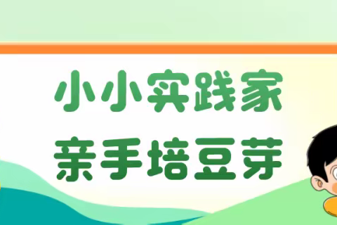 小小实践家  亲手培豆芽——铅山县实验小学四五班