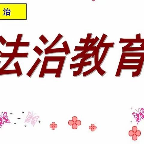 童心向党  快乐成长 ——寨河镇中心学校（完小）活动周之法治教育报告会