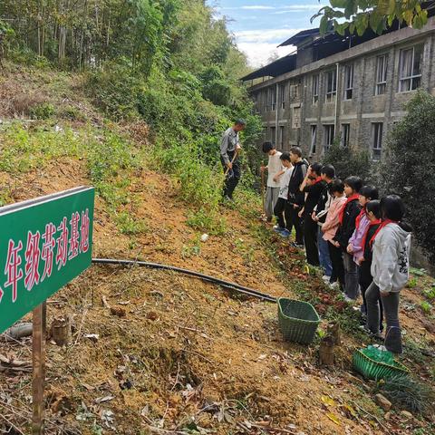 劳动光荣，“薯”你最棒