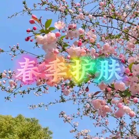 春季护肤