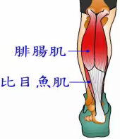 结直肠手术患者术后应该怎么活动？