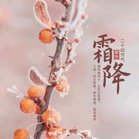 霜降至，露成霜——二四节气之霜降(中班组)