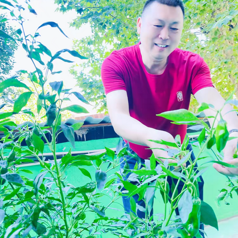 走进蔬菜基地 了解科学种植——修水县义宁小学2024年秋季学期蔬菜种植实践活动