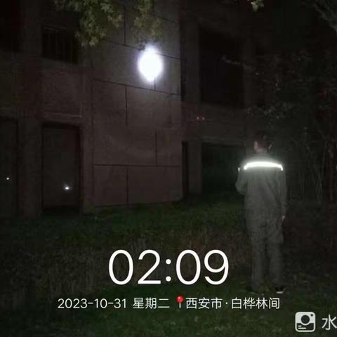 白桦林间2023年10月31日工作简报