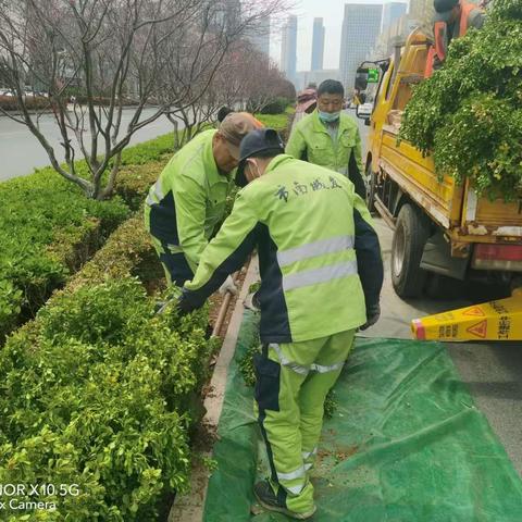 抢抓春季好时机，城市绿化焕新颜