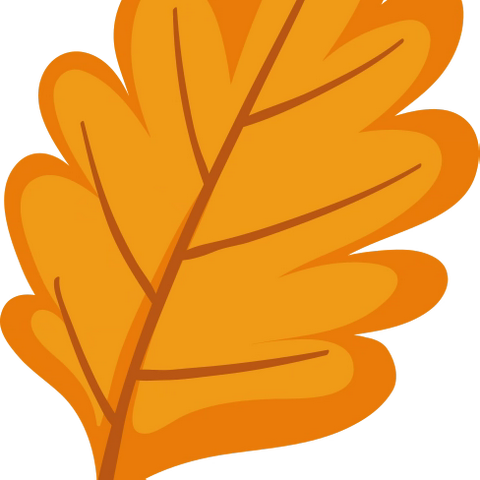 早腰痛 晚腰痛 病因不同