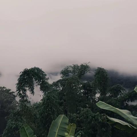 2024年思茅思师附小61级63年53班老同学联谊聚会（第五集）