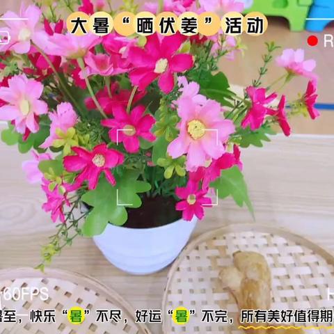 大暑节气