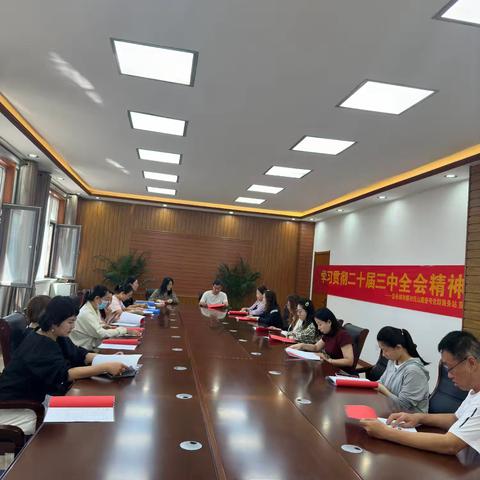 学习贯彻二十届三中全会精神