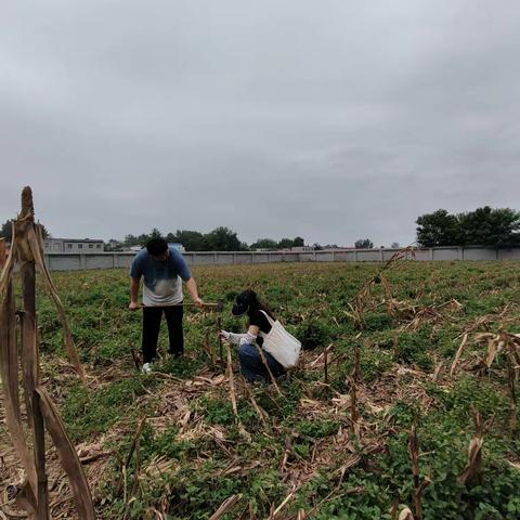 环检室9月日常—上