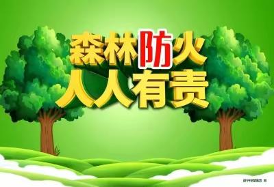 竹竿镇河口小学——“森林防火、人人有责”为主题的宣传教育活动