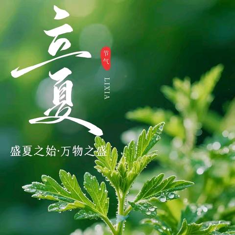 时至立夏 万物并秀 博乐市第九中学“成长有约 家长课堂”﻿（第八期）