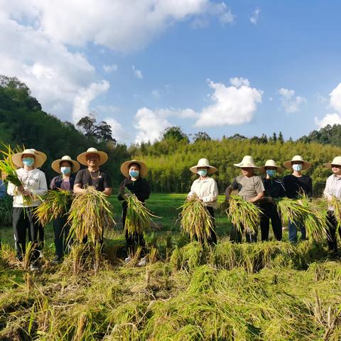 明溪县发展和改革局党支部开展“认领一亩田，播种‘锌硒’望”主题党日活动