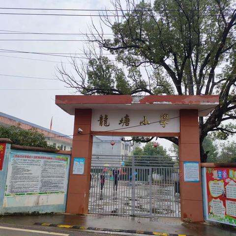 文明之星，闪耀校园——九龙镇龙塘小学办学育人系列宣传（六）