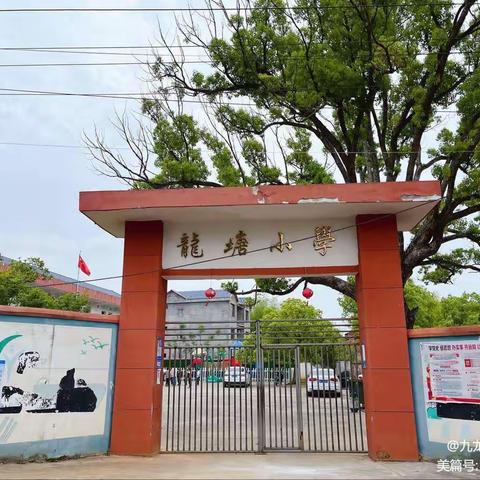 预防溺水   安全同行——九龙镇龙塘小学办学育人系列宣传（三）